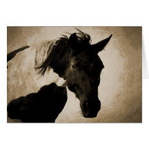 Indian Pony Greeting Card