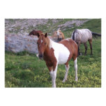 Indian Pony Invitation