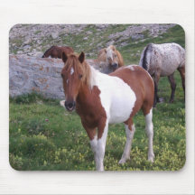 Indian Pony Mousepad