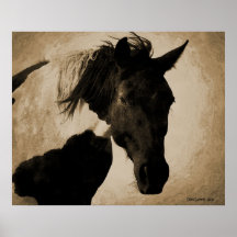 Indian Pony Print
