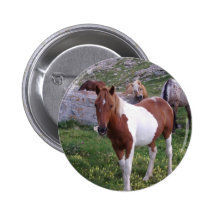 Indian Pony Round Button