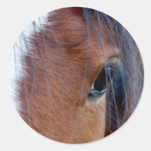 Indian Pony Stickers