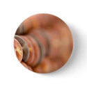 Indian Red Corn For Halloween 4 buttons