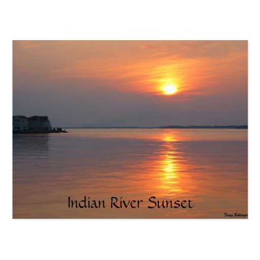 Indian River Sunset Ocean City Postcard
