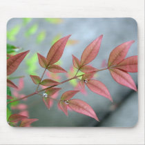 Indian Summer Morn Mouse Mats