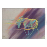 Indian Sunset Greeting Cards