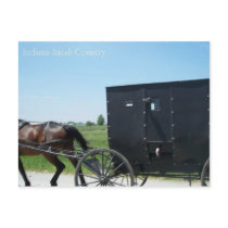 Indiana Amish Country Postcard