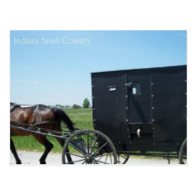 Indiana Amish Country Postcard