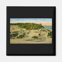 Indiana Dunes State Park Lake Michigan, Indiana Magnet