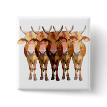 India's cow pinback button
