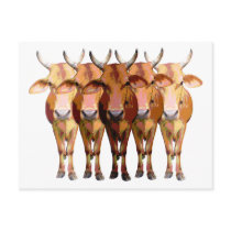 India's cow postcards