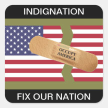 INDIGNATION FIX OUR NATION STICKER