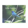 Indigo Bunting Postcards