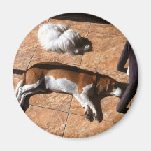 Indoor Tanning Doggy Style Refrigerator Magnet