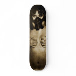 Industry Board Skate Boards