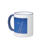 Infant Wood Thrush Mug