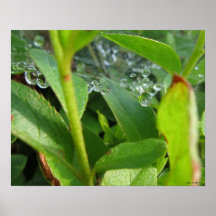 Infinite Droplets Poster