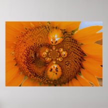 Infinite Sunflower Poster