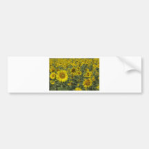 infinite sunflowers bumper sticker