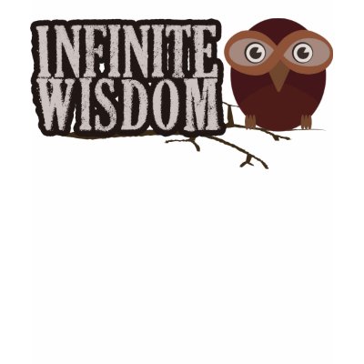 Infinite Wisdom T Shirt by captainjoekickass