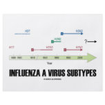Influenza A Virus Subtypes (Health Medicine) Full Color Flyer