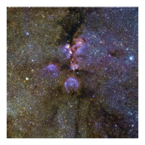 Infrared Image of the Cat's Paw Nebula NGC 6334 Photograph