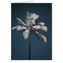 Infrared Palm Cards