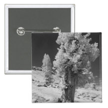Infrared photo in East side of Yosemite National Pinback Button