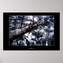 Infrared Tree Print
