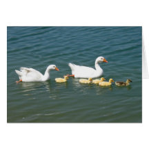 inherit the Earth notecard