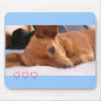 Inki the Chihuahua Mouse Pads