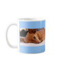 Inki  the Chihuahua Mugs