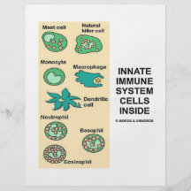 Innate Immune System Cells Inside Flyer Design