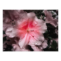 Inner Glow Photo Print