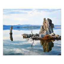 Inner Reflection Photo Print