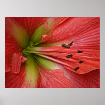 inner side poster