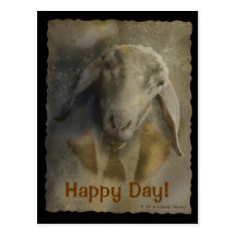 Innervoice - Postard Template Postcards