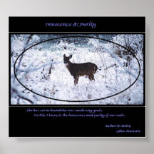 innocense & purity posters