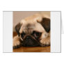" Innocent " Pug Greeting Card