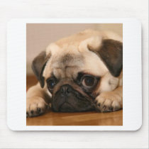 " Innocent " Pug Mouse Pads
