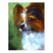 Inquisitive Papillon Postcard