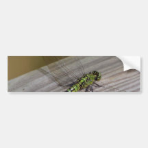 Insect Dragonfly Bumper Stickers