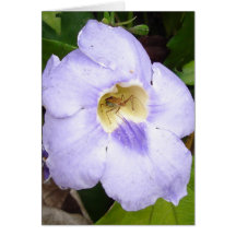 Insect in Residence floral card v2