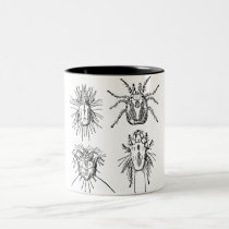 Insect mugs
