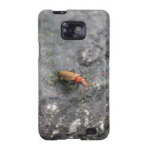 Insect on a rock. galaxy s2 cover