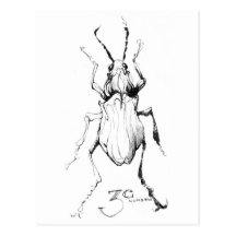 Insect Post Card