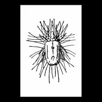 Insect posters