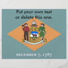 Insecte avec le drapeau du Delaware, Etats-Unis Prospectus