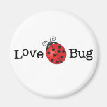 Insecte d'amour - coccinelle aimant