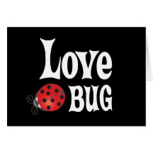 Insecte d'amour - coccinelle carte